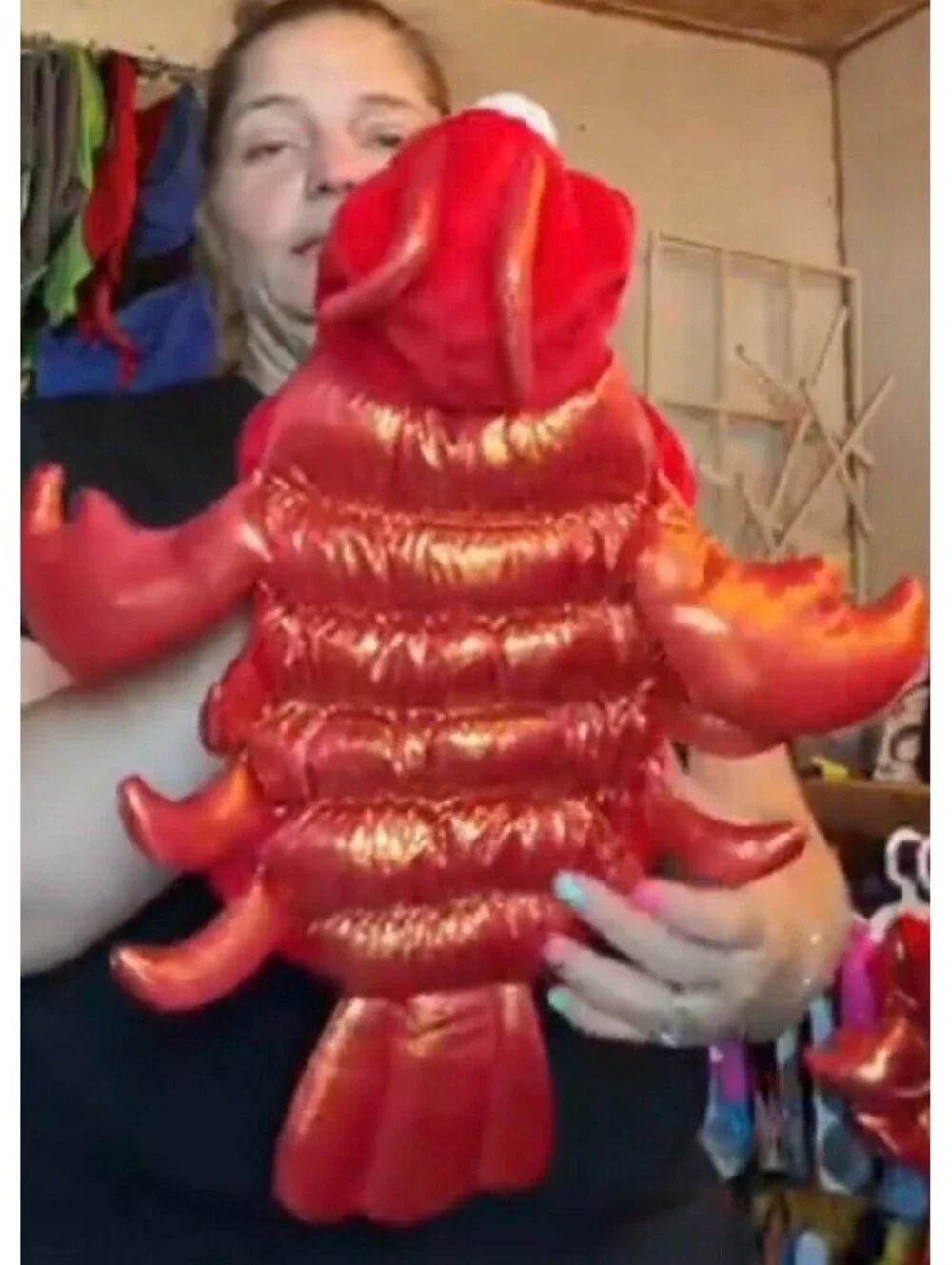 Red lobster pet costume size small